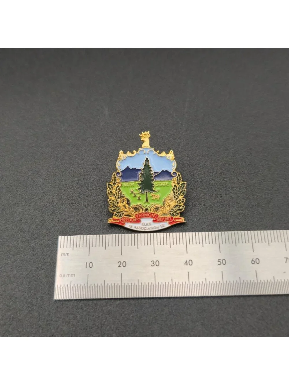 Vermont Elks Association State Coat of Arms Enamel Lapel Pin A8072